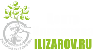 Центр Илизарова